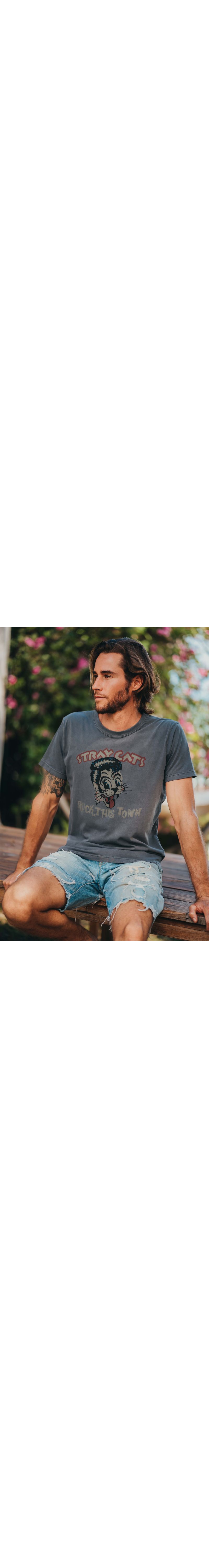 T-shirt Vintage Homme Gris Stray Cats